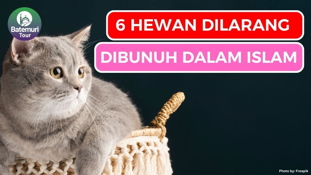 6 Binatang yang Tidak Boleh Dibunuh dalam Islam